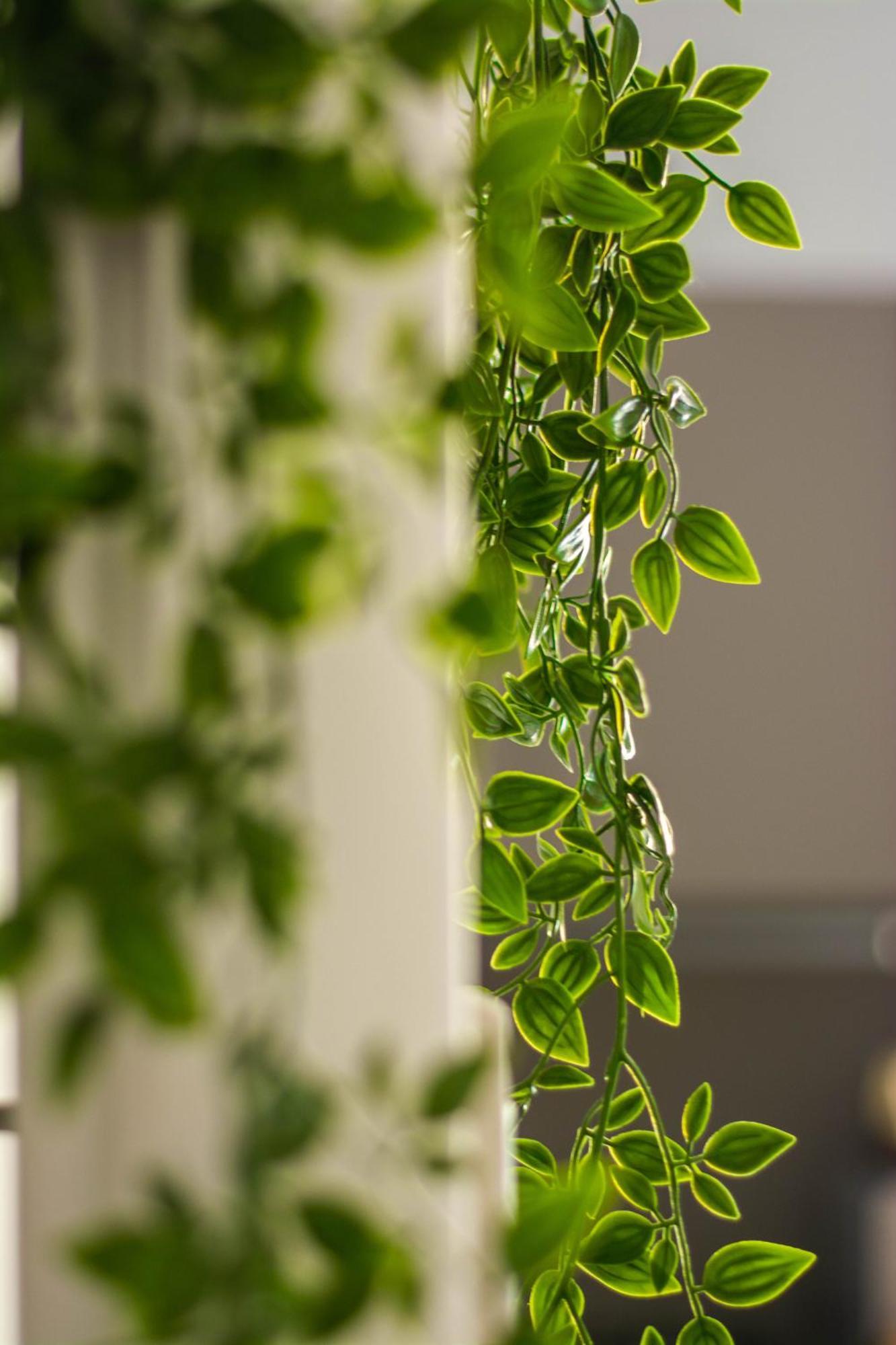 Domus Eroi Apartment Roma Ngoại thất bức ảnh